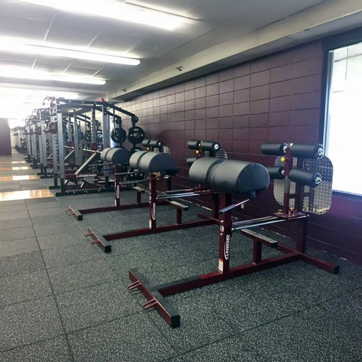 A row of dark red and black glute ham developer fitness machines in a gym