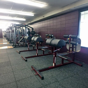 A row of dark red and black glute ham developer fitness machines in a gym