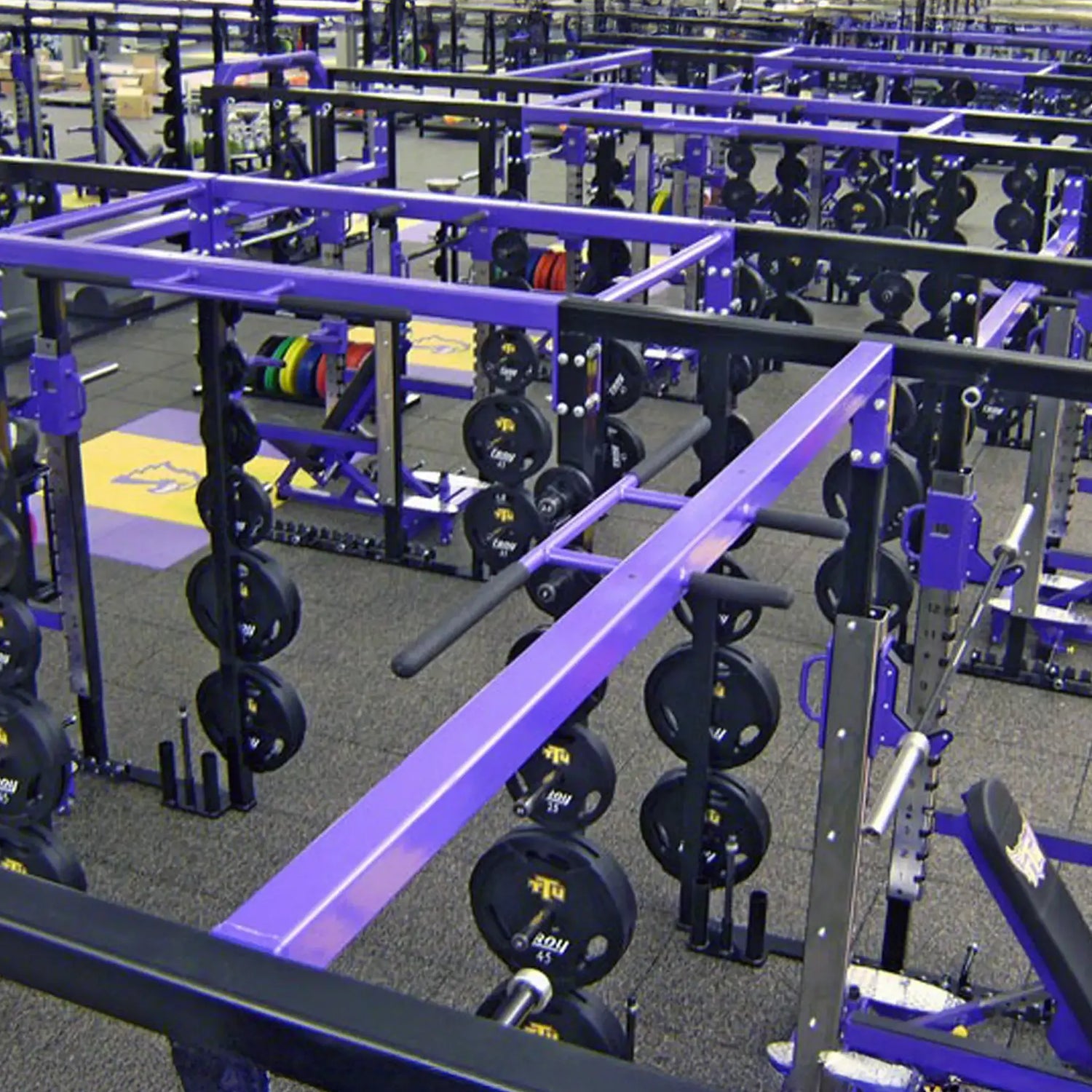 Gym equipment with purple and black frames and black weight plates in a fitness center.