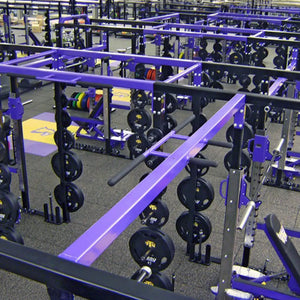 Gym equipment with purple and black frames and black weight plates in a fitness center.