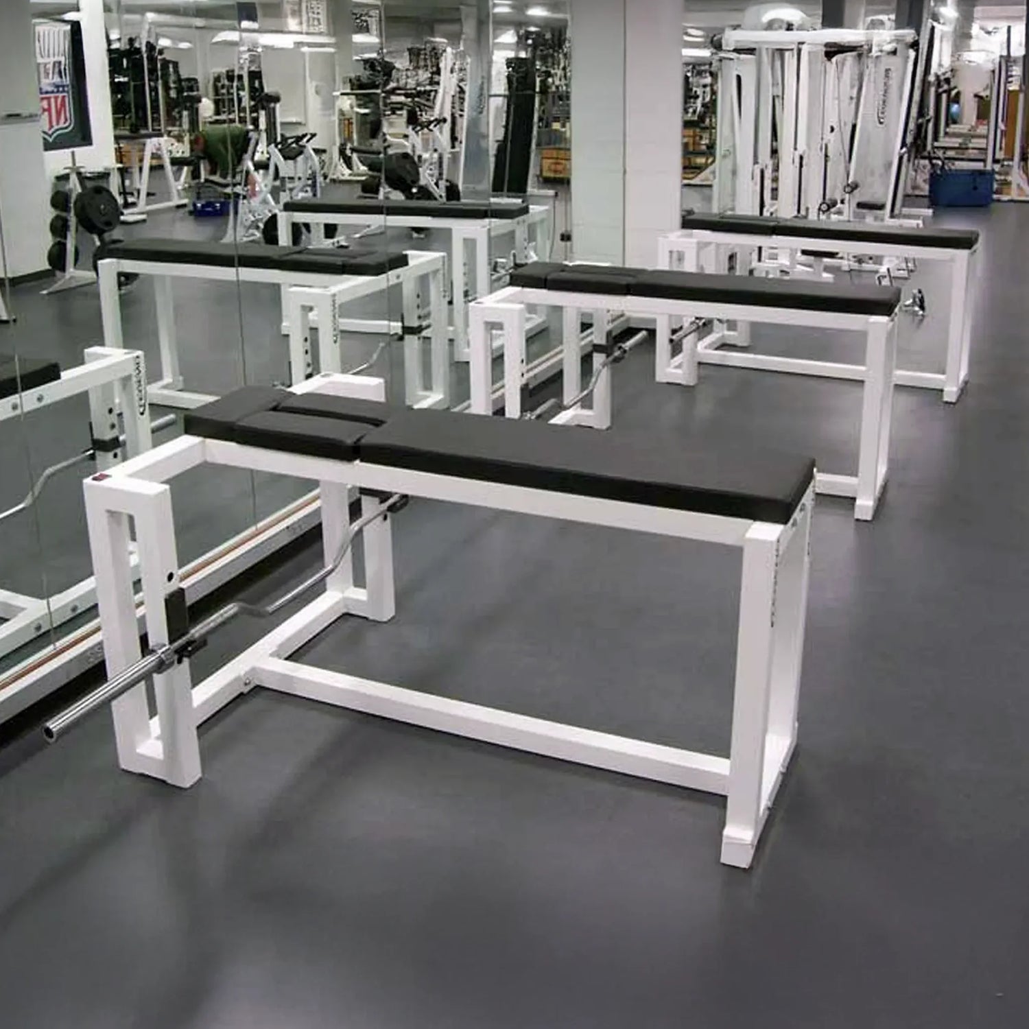 A row of three black and white prone row weightlifting benches in a gym setting