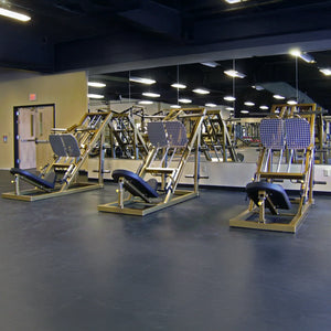 Legend Fitness 3308 Unilateral Angled Leg Press