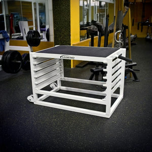 A white metal adjustable step up box in a gym setting
