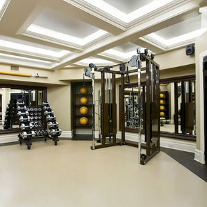 A modern gym features the Legend Fitness 953 Functional Trainer Machine, a rack of dumbbells, medicine balls on shelves, and large mirrors lining the walls beneath a coffered ceiling with bright lighting.