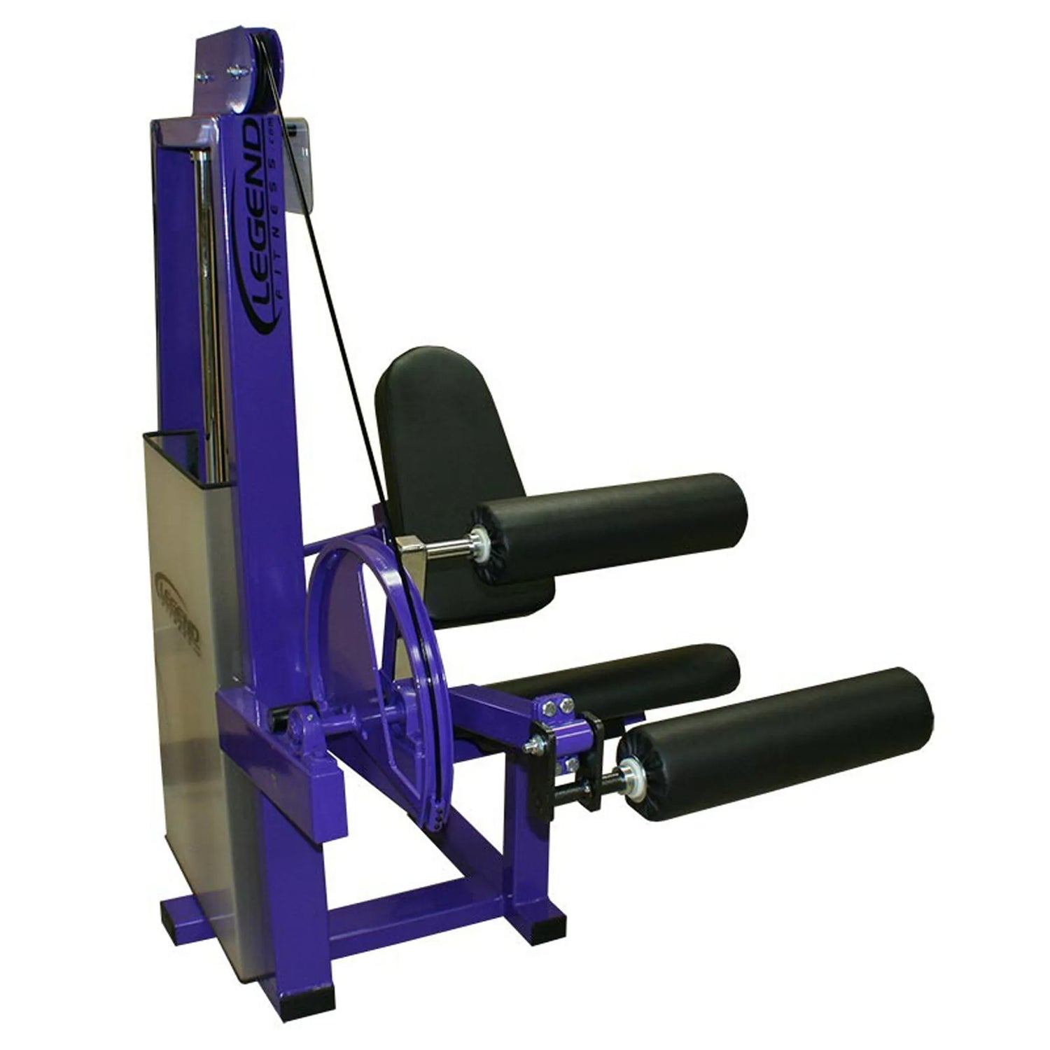 The Legend Fitness 969 Children's Circuit is a purple and black leg extension machine with padded seat, backrest, and cylindrical leg pads for strength training. The Legend Fitness brand name appears on the side.