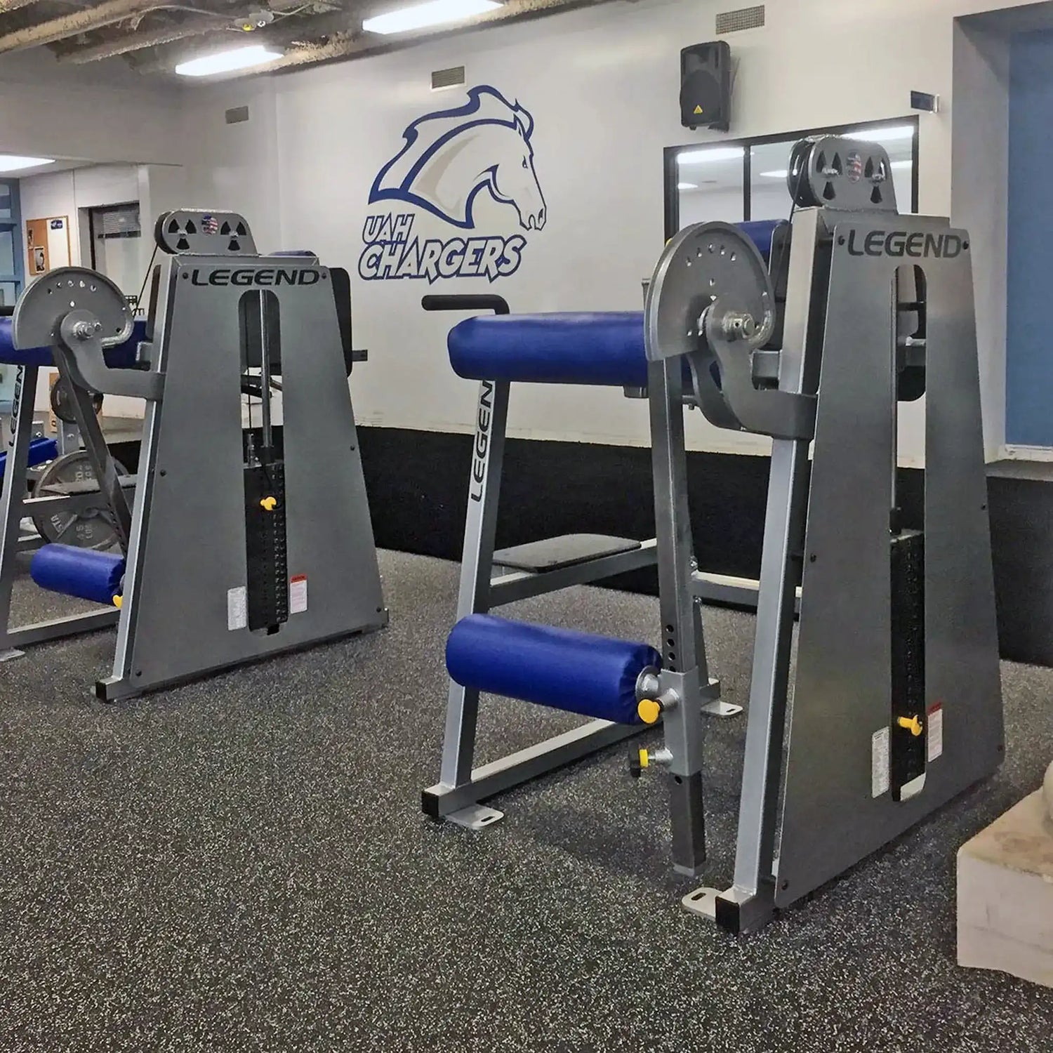 Two Legend Fitness 976 Performance Reverse Back Extension Machines by Legend Fitness, in gray and blue, stand on a speckled floor. A mural with a horse and "UAM CHARGERS" is visible under bright lights and exposed ceiling pipes.