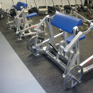 Legend Fitness LeverEDGE 6007 Unilateral Seated Bicep Curl