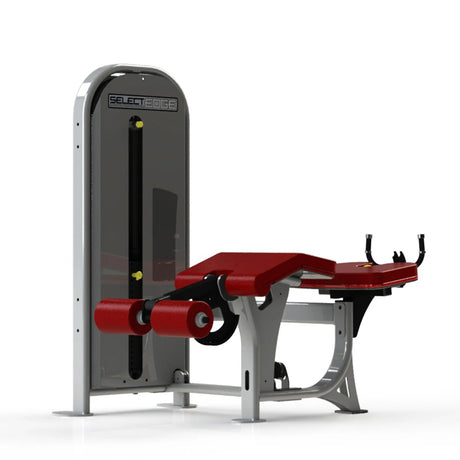 Gym fitness machine with red pads and a gray frame on a white background