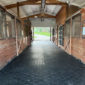 ECORE Rubber Pavers - 44.5mm