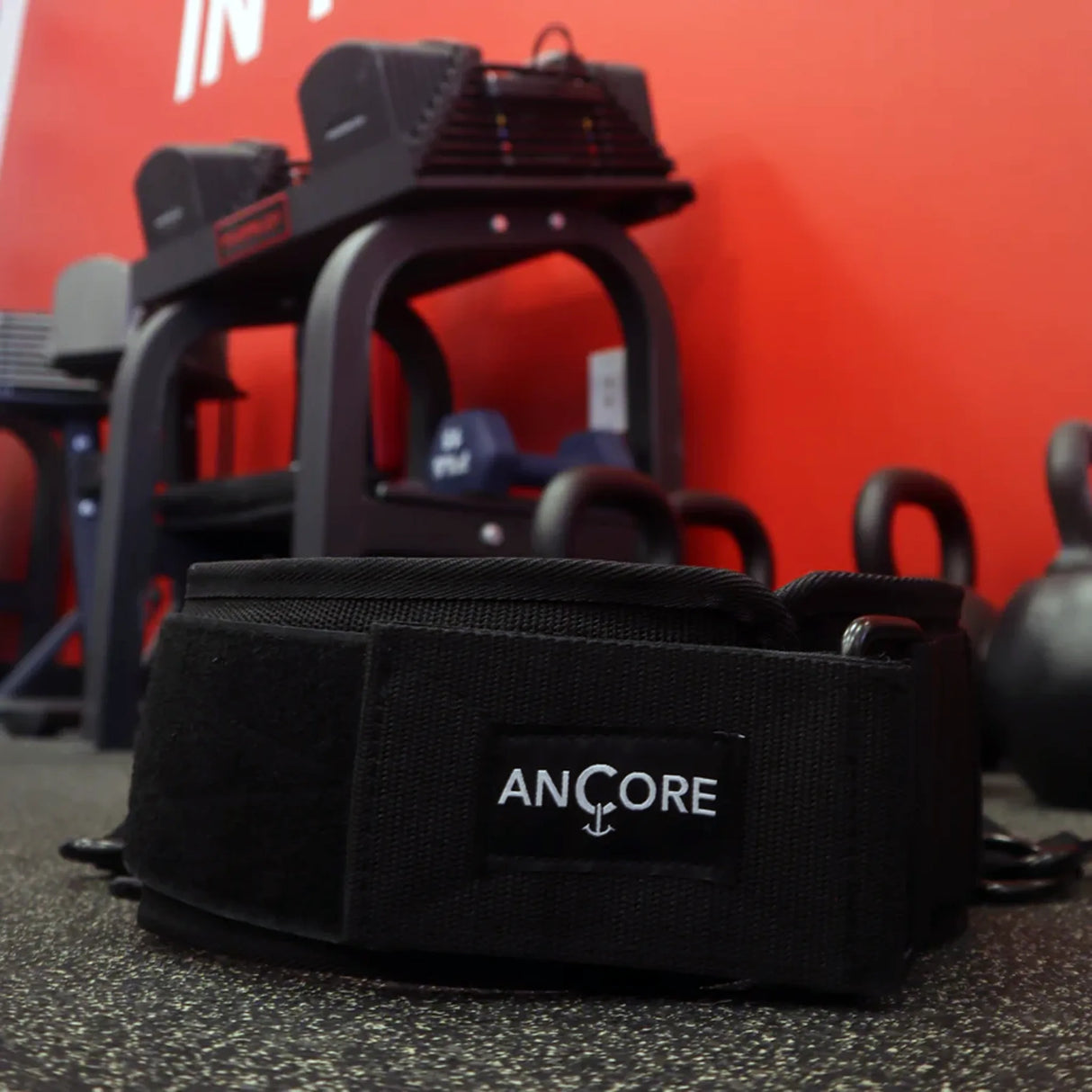 ANCORE portable adjustable cable column waist belt attachment