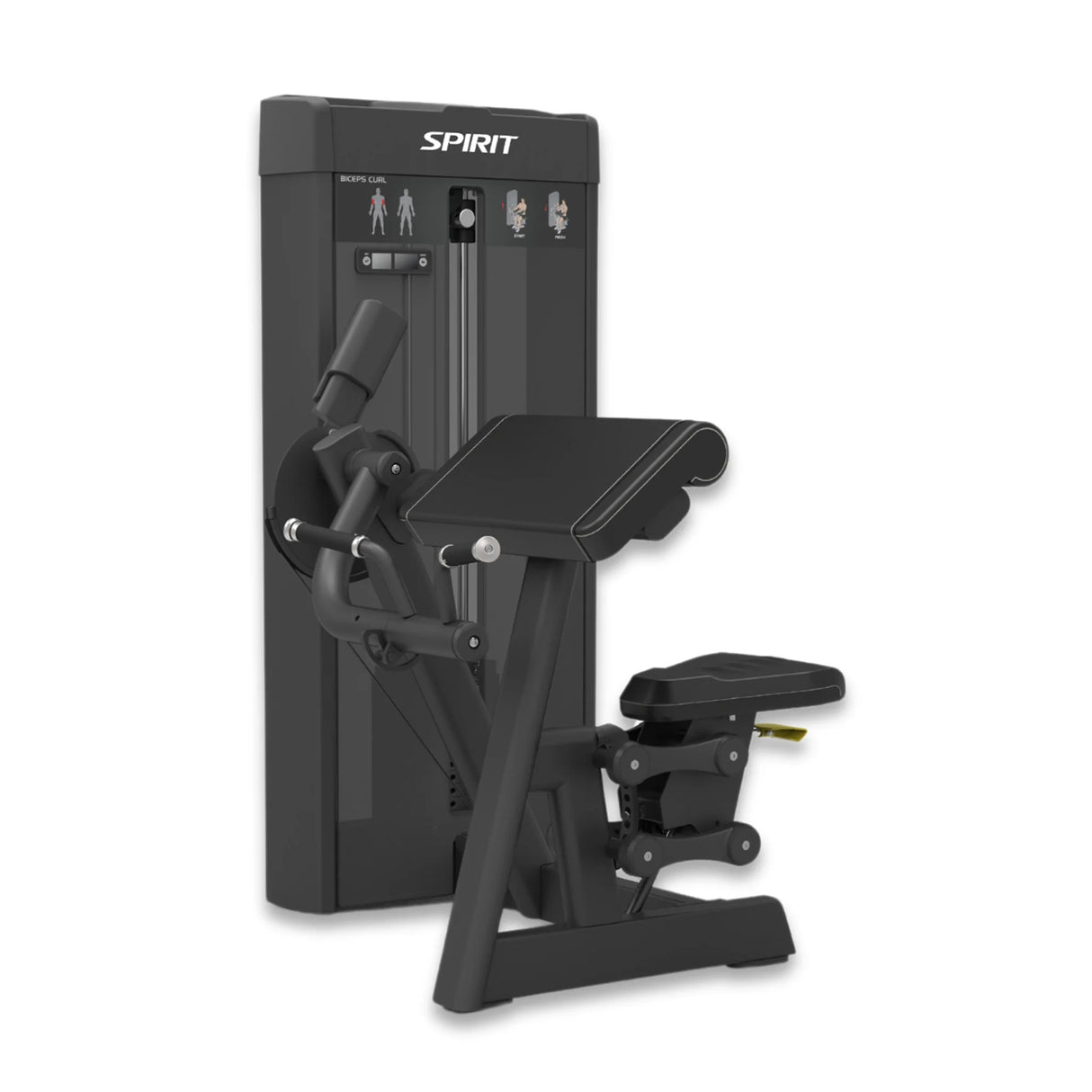 Front three-quarter view of the Spirit Fitness CSS-BCUR Biceps Curl machine showing the weight stack, curl arm, and seat labeled Biceps Curl.